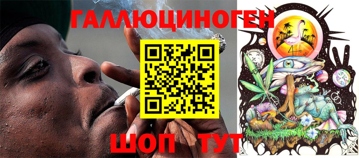 Псилоцибиновые грибы Psilocybine cubensis Подольск